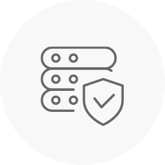 Highest level security icon