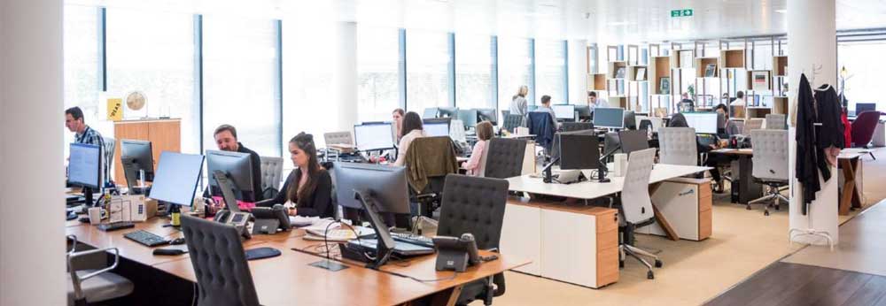 Open work space with employees working on their computers