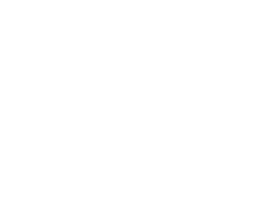 Employee Monitoring Icon