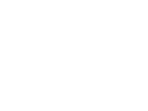 Prodoscore for Executive Leadership Icon